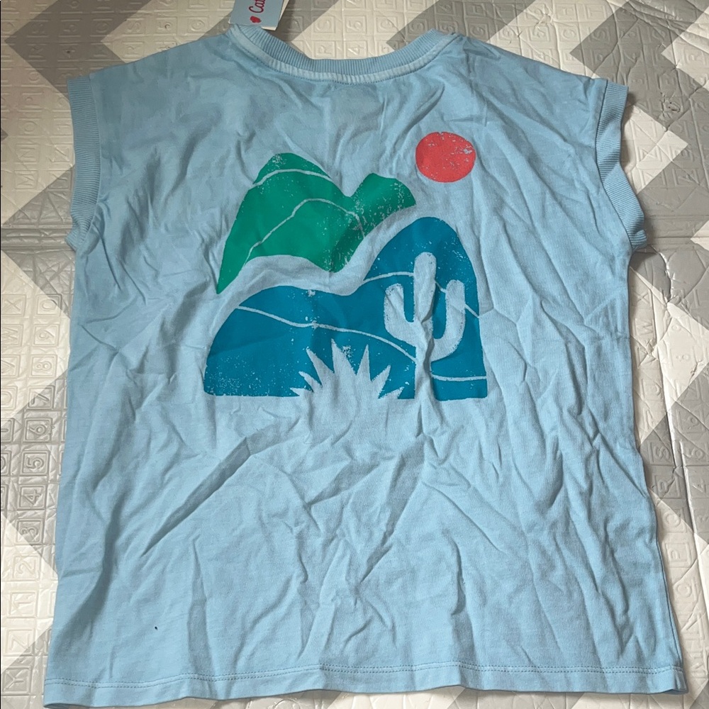 Blue Graphic T-Shirt with Desert Scene kids XL (14)